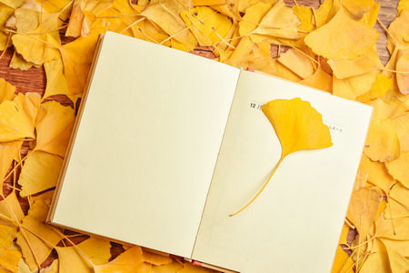 廣州大學MEM面試一般什么時候？