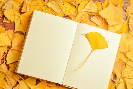 廣州大學MEM面試