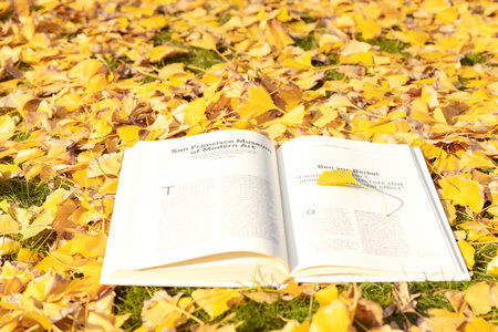 西安理工大學(xué)MEM面試技巧