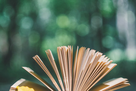 國民經濟學在職博士