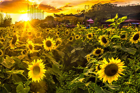 法國布雷斯特商學院在職研究生報考方式