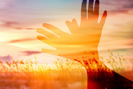 英賽克高等商學院國際碩士