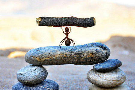 中央財經大學同等學力的報考優勢 中央財經大學同等學力的報考優勢