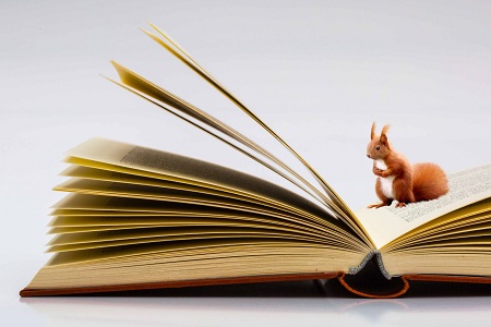 北京外國語大學同等學力申碩考試