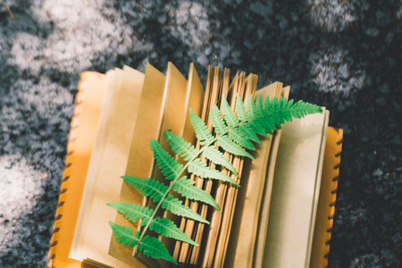 中國科學院心理研究所同等學力申碩考試通過率 中國科學院心理研究所同等學力申碩考試通過率