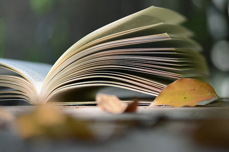 吉林大學專業碩士報考注意事項 吉林大學專業碩士報考注意事項