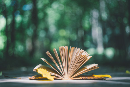 山東專業(yè)碩士報考選擇