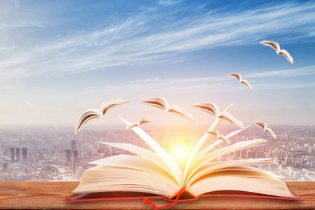 中南財經政法大學報考條件