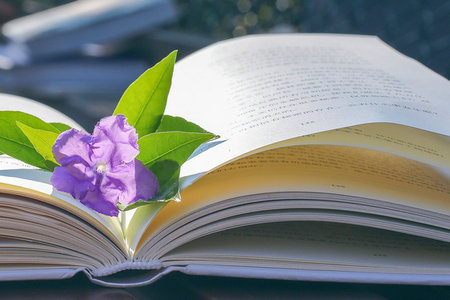 江西師范大學MPA上課方式 江西師范大學MPA上課方式