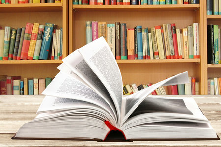 政治學理論同等學力學歷