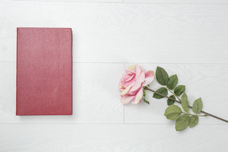 報(bào)考世界經(jīng)濟(jì)同等學(xué)力什么時(shí)候可以查詢申碩考試成績(jī)？