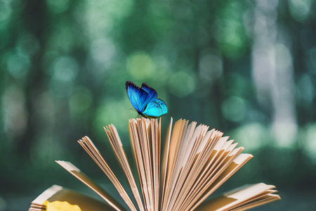 國民經濟學在職研究生開課地區 國民經濟學在職研究生開課地區