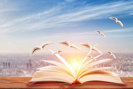 英國奇切斯特大學國際碩士