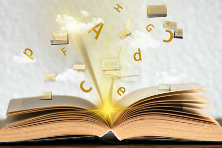 國際貿(mào)易學(xué)同等學(xué)力 國際貿(mào)易學(xué)同等學(xué)力