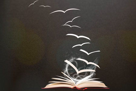 上海同等學(xué)力申碩 上海同等學(xué)力申碩