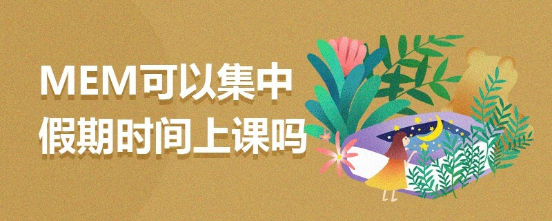 MEM可以集中假期時(shí)間上課嗎