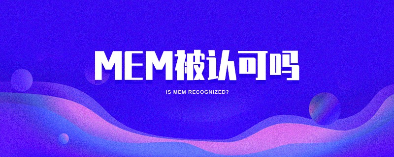 MEM被認可嗎