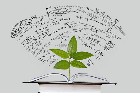 上海大學(xué)MPAcc 上海大學(xué)MPAcc