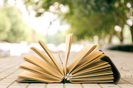 西南財經大學MPA