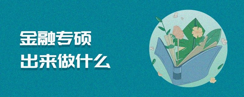 金融專碩出來做什么