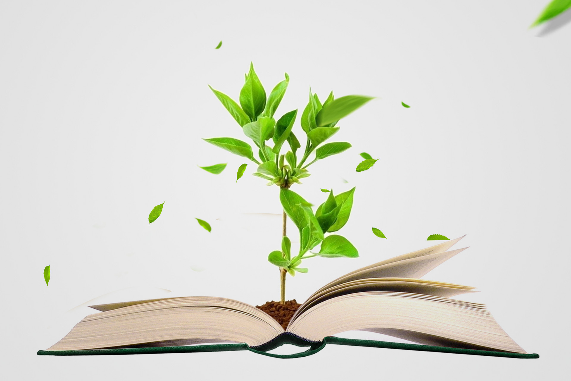 西北大學專業碩士