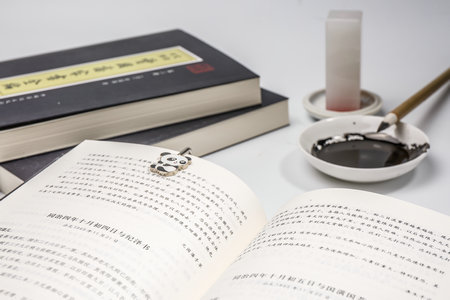 英賽克高等商學院國際碩士