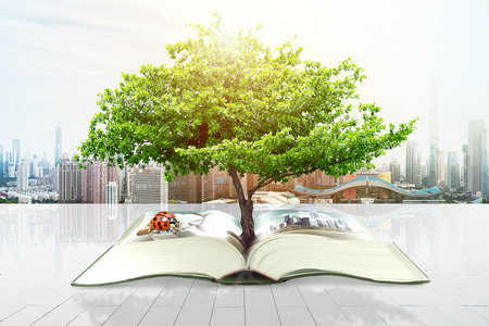 上海財經大學同等學力可以免試入學嗎？