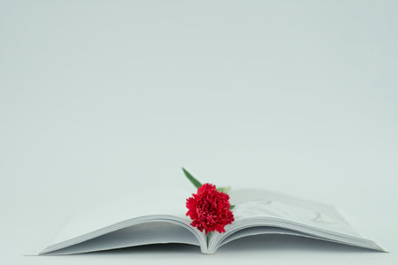 天津大學MPA課程怎么樣？