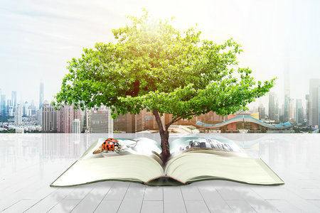 武漢工程大學MBA 武漢工程大學MBA