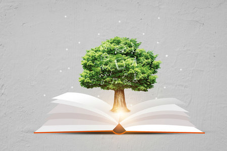 中國人民大學MPA