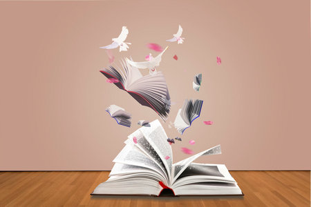 澳洲陽光海岸大學(xué)中外合辦