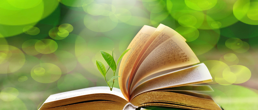 東南大學EMBA畢業證