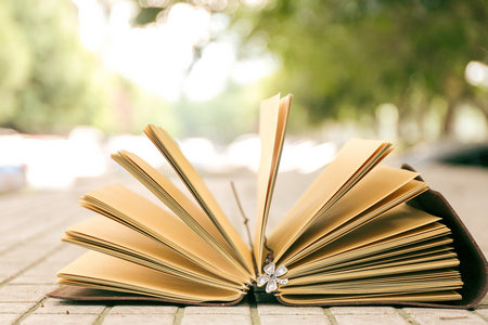 青島科技大學同等學力申碩考試內容