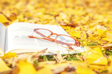 華中農業大學MPA學費學制