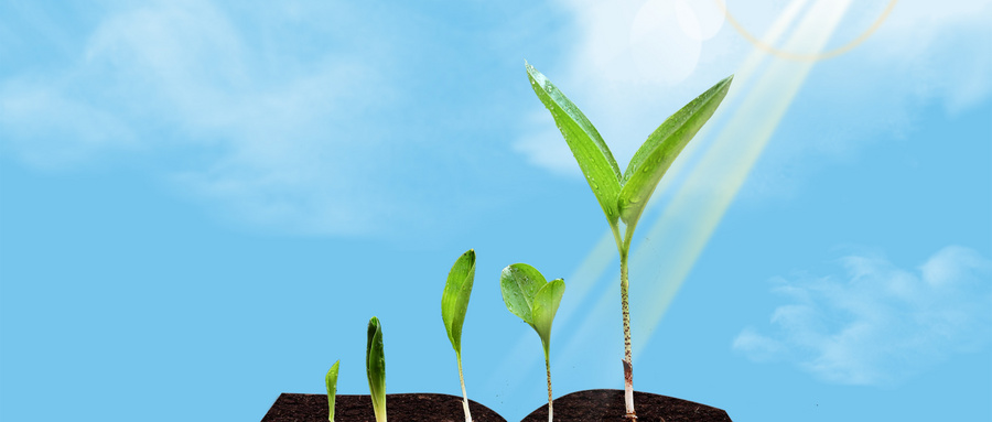 南京農(nóng)業(yè)大學(xué)MPAcc學(xué)制學(xué)費