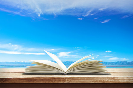 國際貿易經濟合作研究院MBA