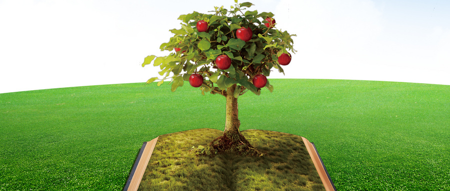 北京航空航天大學工程管理碩士（MEM）上課方式