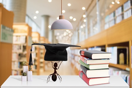  報考合肥工業大學MBA的難度大嗎？