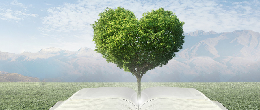 西北工業大學MPAcc注意事項 西北工業大學MPAcc注意事項