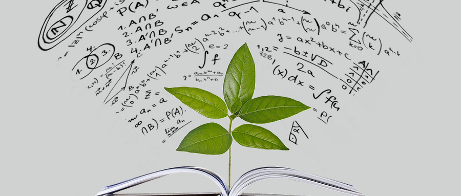 美國西頓大學國際碩士報考流程