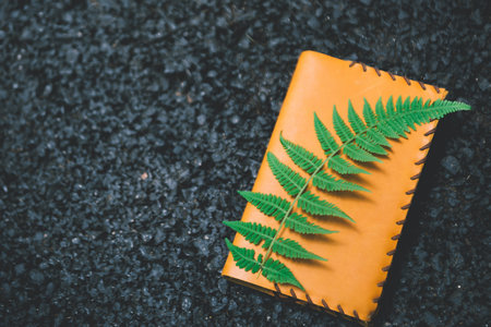 新疆農(nóng)業(yè)大學(xué)MPA報(bào)考條件