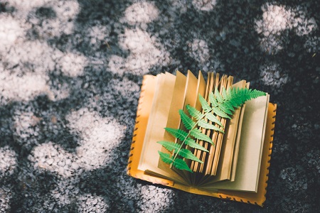 2020年北京大學國家發展研究院EMBA的項目特色 2020年北京大學國家發展研究院EMBA的項目特色