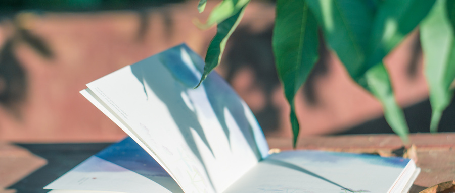 考研容易的專業 考研容易的專業