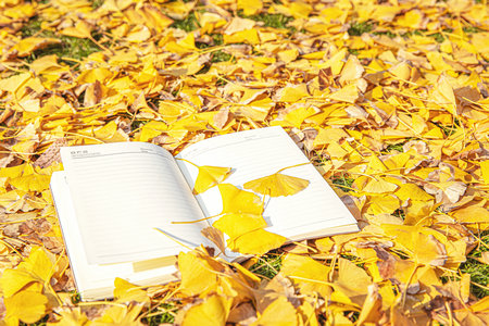 濟南大學同等學力考研時間安排 濟南大學同等學力考研時間安排