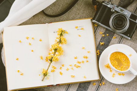 美國威斯康星協和大學工商管理(MBA)國際碩士課程優勢 美國威斯康星協和大學工商管理(MBA)國際碩士課程優勢