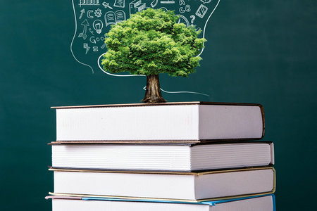 青海民族大學(xué)在職研究生報(bào)名時(shí)間 青海民族大學(xué)在職研究生報(bào)名時(shí)間