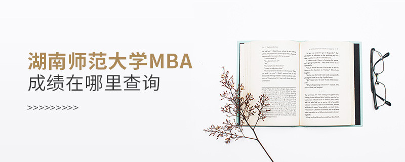 湖南師范大學MBA成績在哪里查詢？