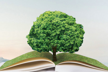 三峽大學(xué)在職研究生報(bào)名時(shí)間