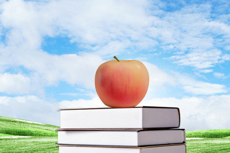 中南大學EMBA成績查詢入口