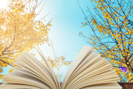 沈陽大學非全日制研究生成績查詢入口 沈陽大學非全日制研究生成績查詢入口